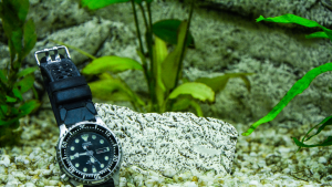Compro Rolex In Zona Roma